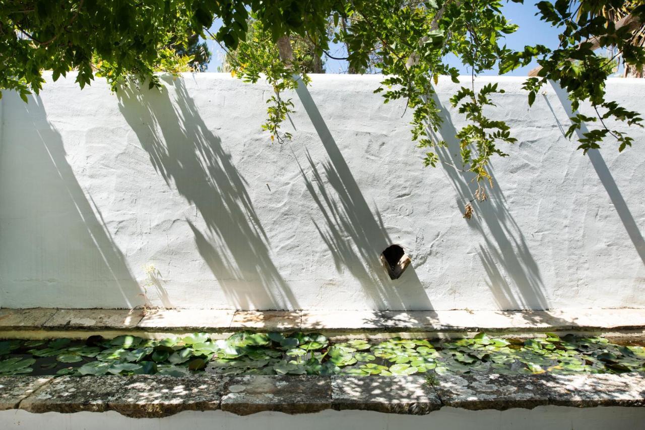 Altanure Quinta Sol D'Agua - Ecological Holiday Villa Tavira Exterior foto
